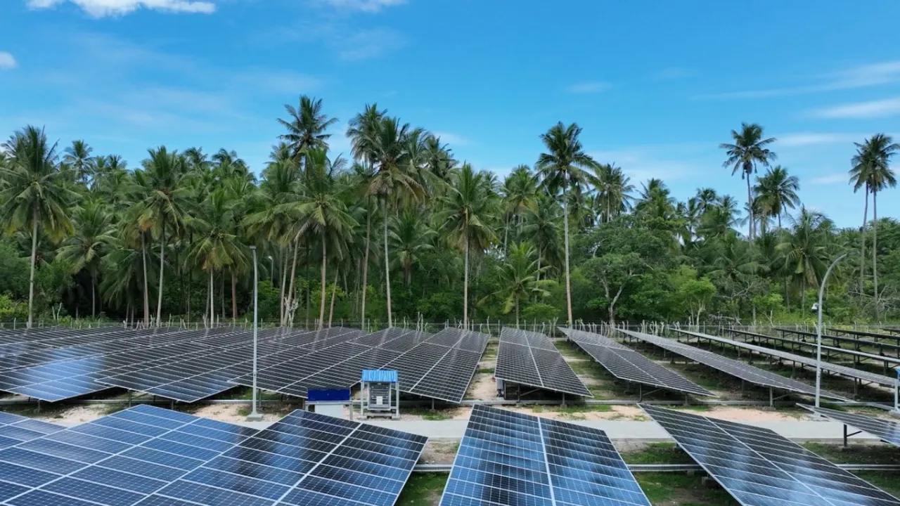 The Green Premium, What Eco-Friendly Property in Zanzibar Actually Earns
