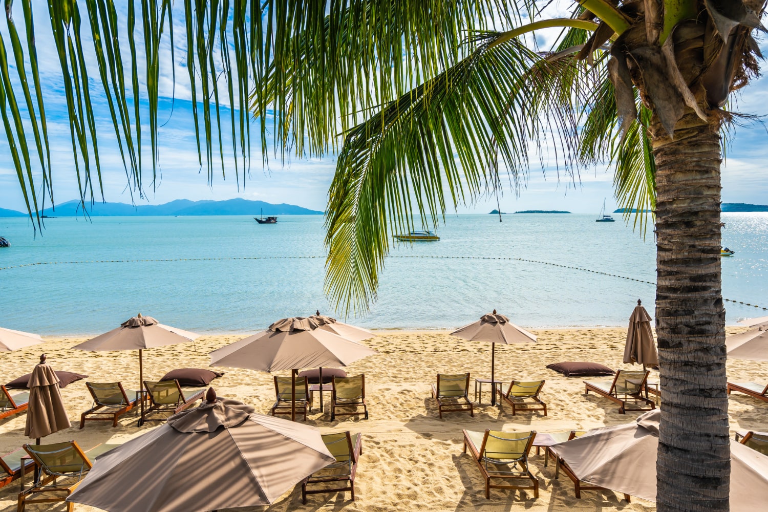 Lifestyle Appeal That Never Goes Out of Style